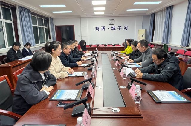 肖董事長率隊赴雞西市城子河區考察，探尋文旅項目合作機遇